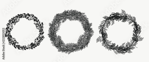 Hand drawn collection of evergreen wreath in vintage style. Botanical illustration for holiday decor.