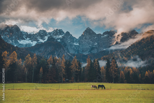 Fototapeta Naklejka Na Ścianę i Meble -  Two horses together in autumn landscape. Green meadow, big mountains in background