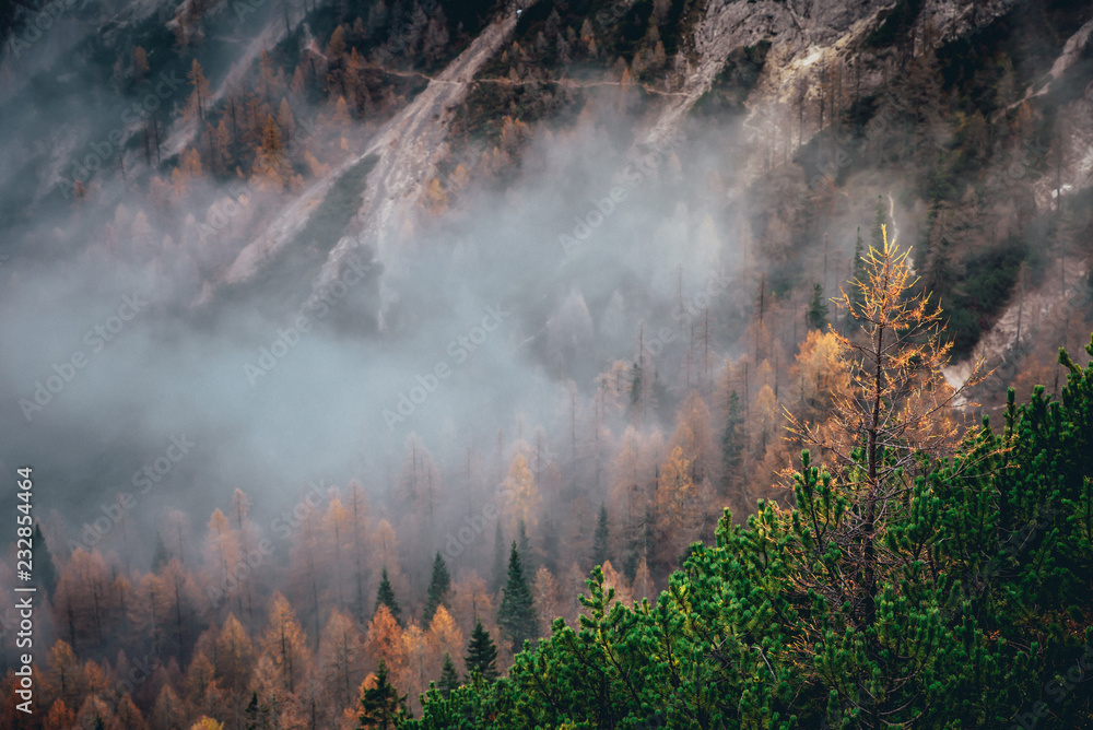 Colorful autumn in Alps. Hiking, adventure, sport, concept photo. Edit space