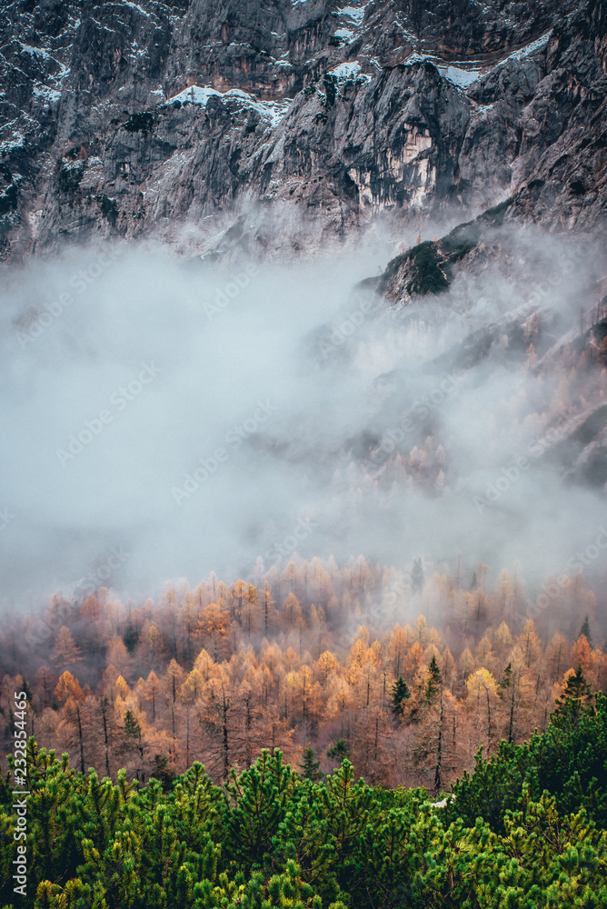 Autumn mountains landscape. Orange trees and mist