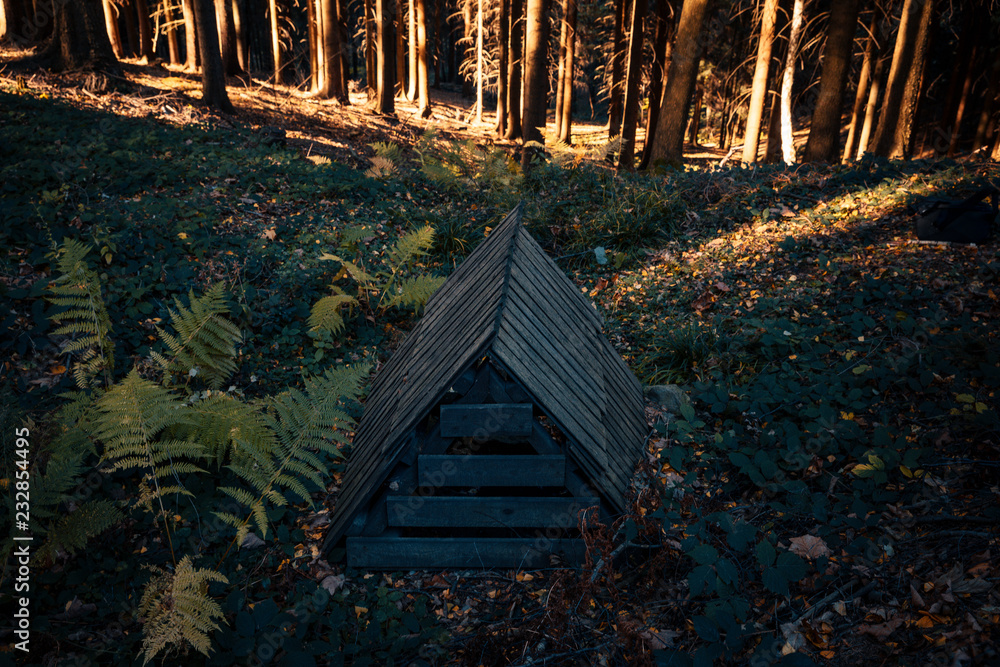 A unique natural spring protected by a deep forest with fresh, cool ...