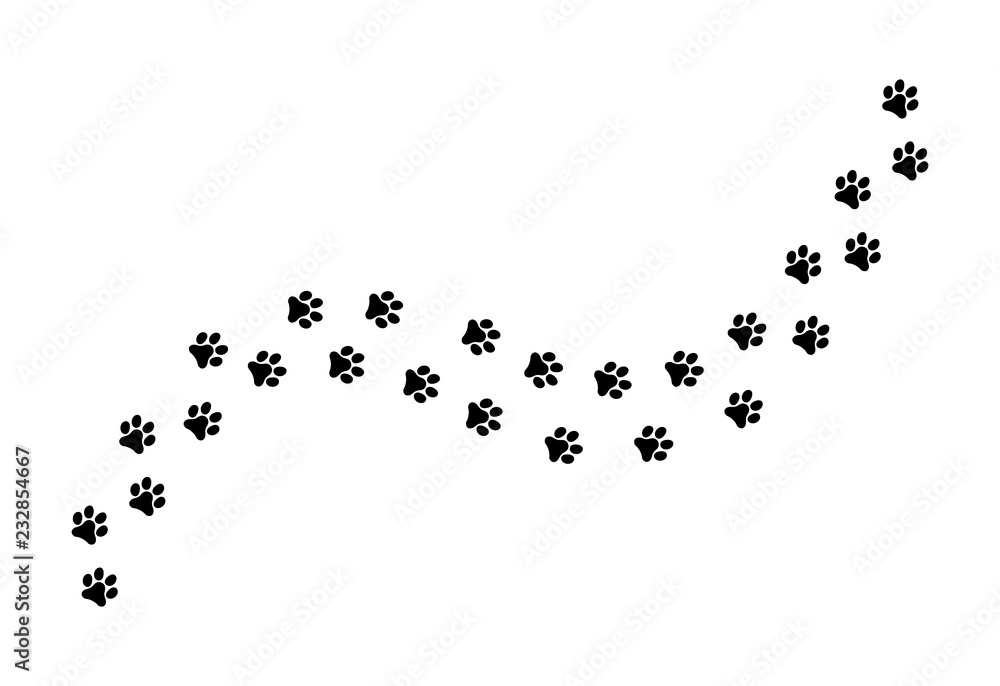 Paw vector foot trail print of cat. Dog, silhouette animal diagonal track Paw vector foot trail print of cat. Dog, silhouette animal diagonal track