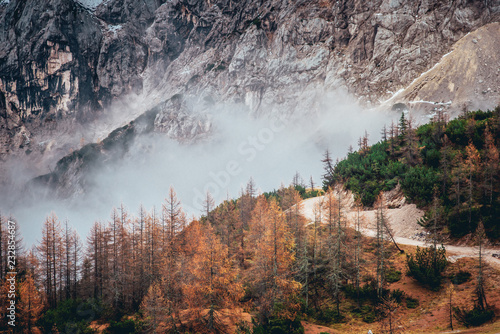 Thick fog on the mountain pass Goulet. Julian Alps, Slovenia photo