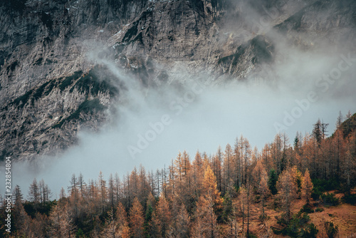 Autumn mist in Alps mountains