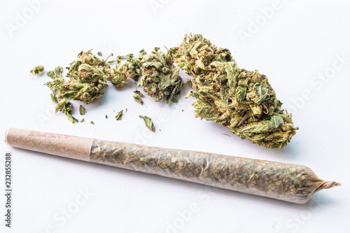 Obraz na plátne Marijuana flower and rolled joint on white background