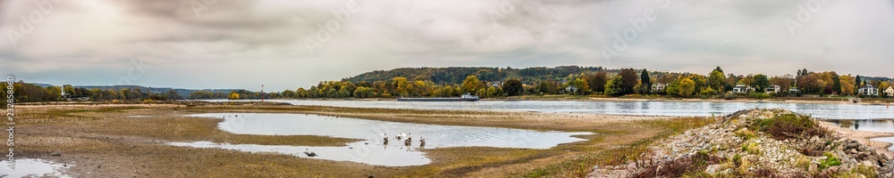 River Rhine near Mehlem and Koenigswinter, Germany, November 2018, low water in the Rhine hinders cargo shipping / navigation - panoramic view 