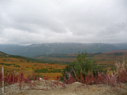 landscape of mountains