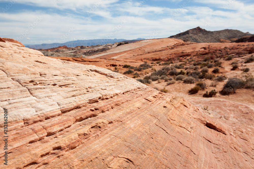 Fototapeta premium red sandstone rock formations in the Valley of Fire State Park in Nevada USA