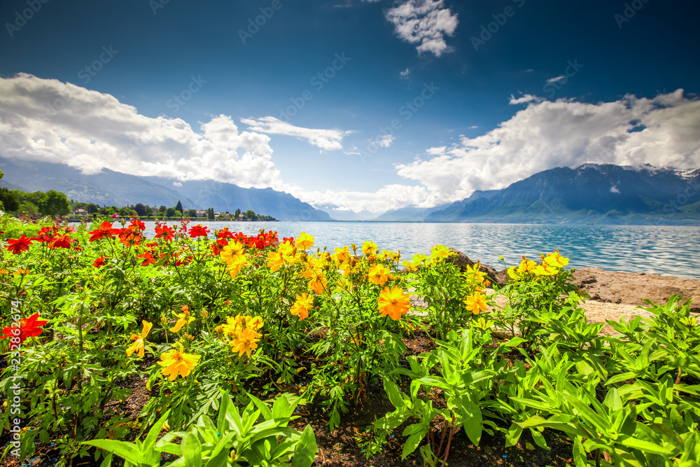 Montreux city with Swiss Alps, lake Geneva and vineyard on Lavaux region, Canton Vaud, Switzerland, Europe Montreux city with Swiss Alps, lake Geneva and vineyard on Lavaux region, Canton Vaud, Switzerland, Europe