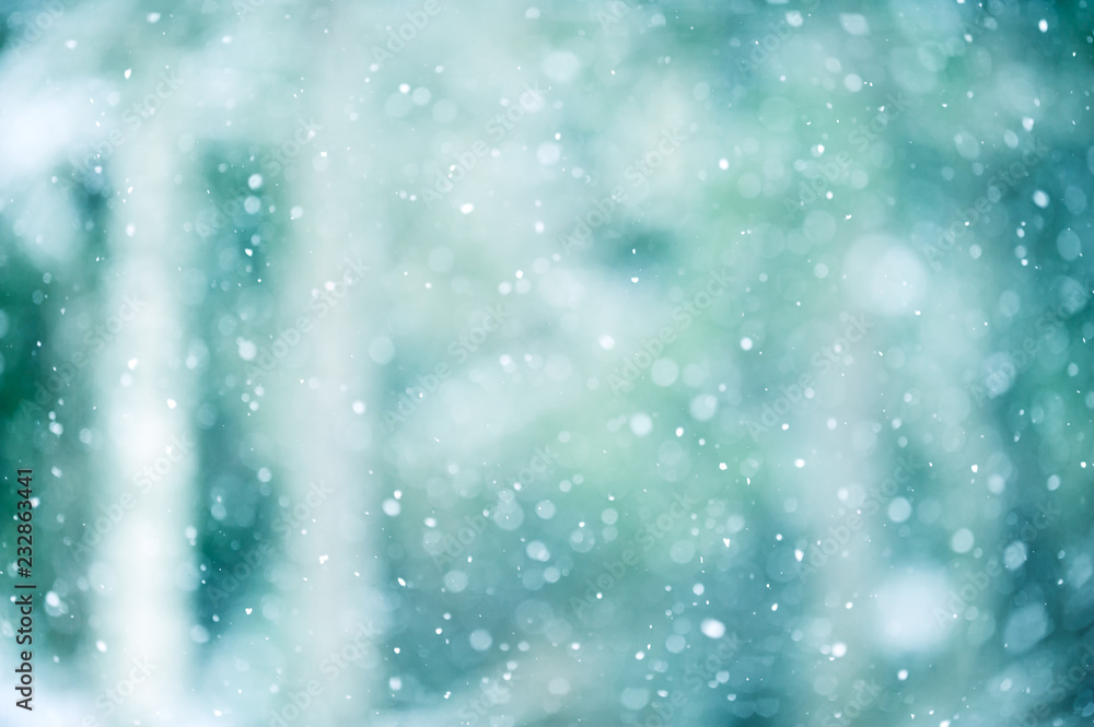 Snowing in winter. Defocused forest in the background.