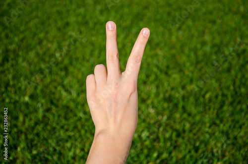Hand making victory sign on green grass background © woodpencil