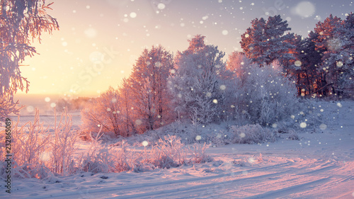 Wonderful winter morning landscape in sunrise with falling snowflakes. © dzmitrock87