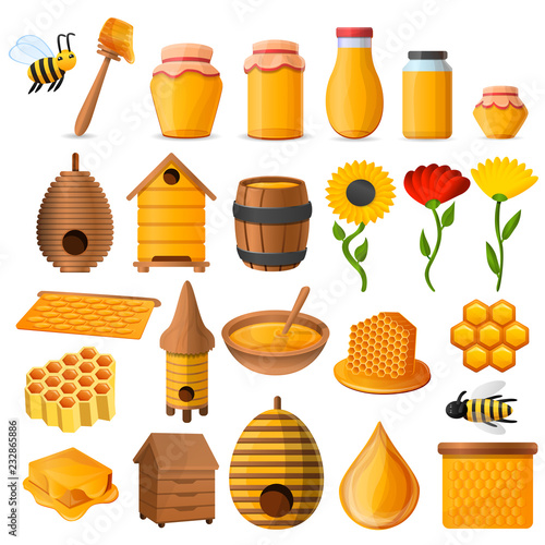 Honey icon set. Cartoon set of honey vector icons for web design
