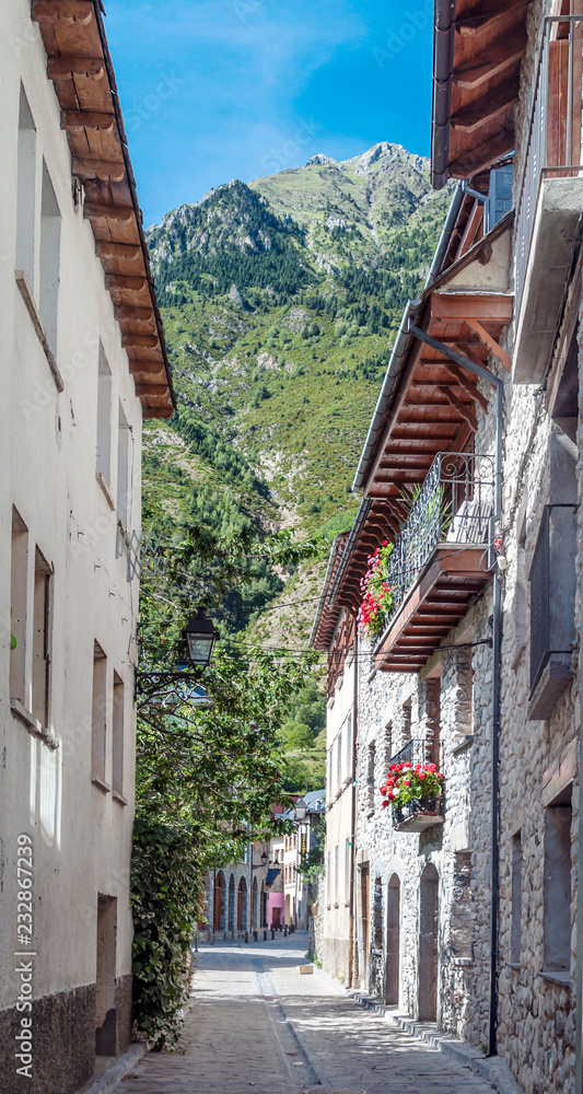 Village of Benasque in the mountains of the Pyrenees