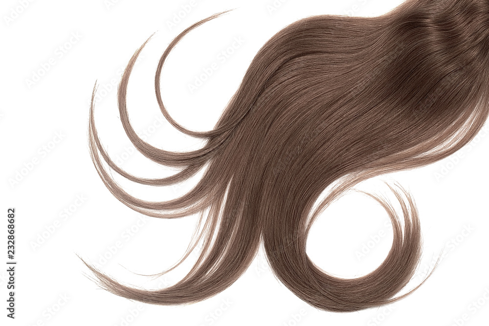 Lush brown hair isolated on white background Lush brown hair isolated on white background