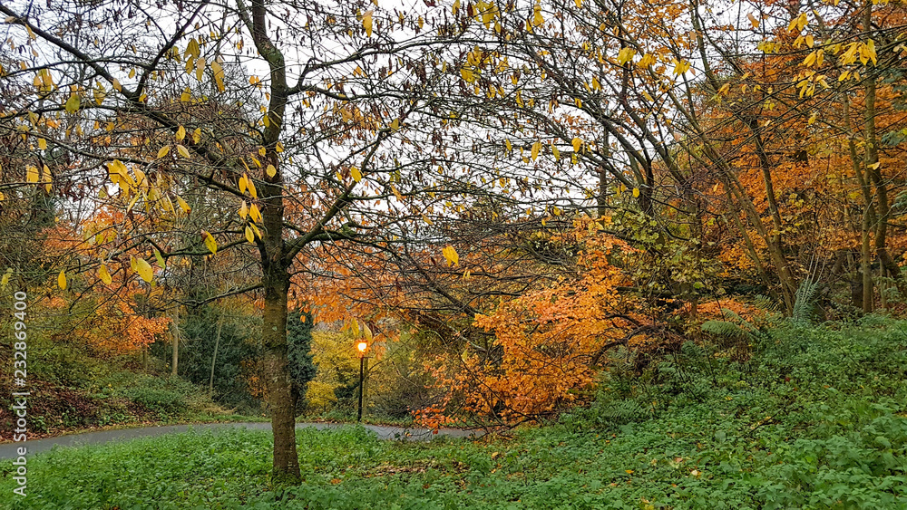 Autumn colours Malvern hills Worcestershire