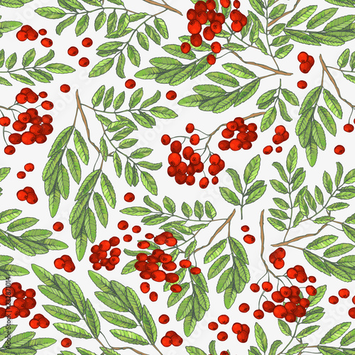 Seamless colorful autumn pattern with rowan berries and green leaves on a white background. Floral rowan illustration for print.