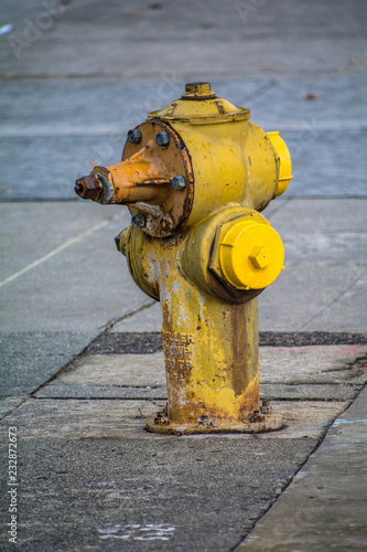 Fototapeta Naklejka Na Ścianę i Meble -  fire hydrant in usa