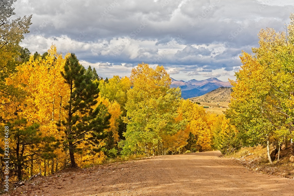 Fall color leading to mountains Fall color leading to mountains