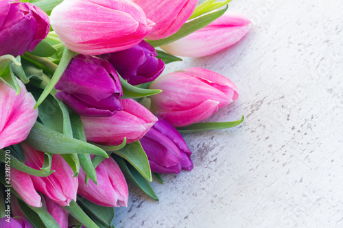 Violet fresh tulip flowers on white wooden background with copy space