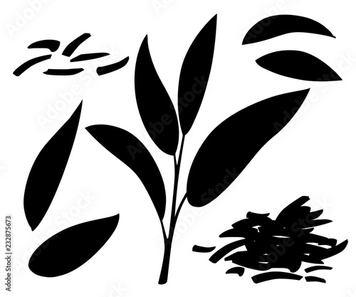 Black silhouette. Fresh tea leaves and pile dry tea. Green tea for design, advertising and packaging. Flat vector illustration isolated on white background