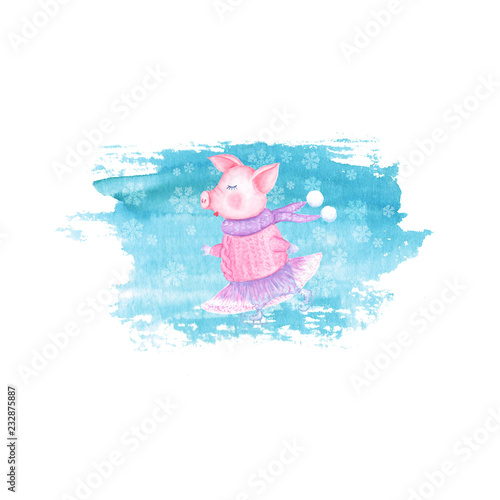 Watercolor beauty skating pig in knitted sweater, tutu and scarf isolated on white background