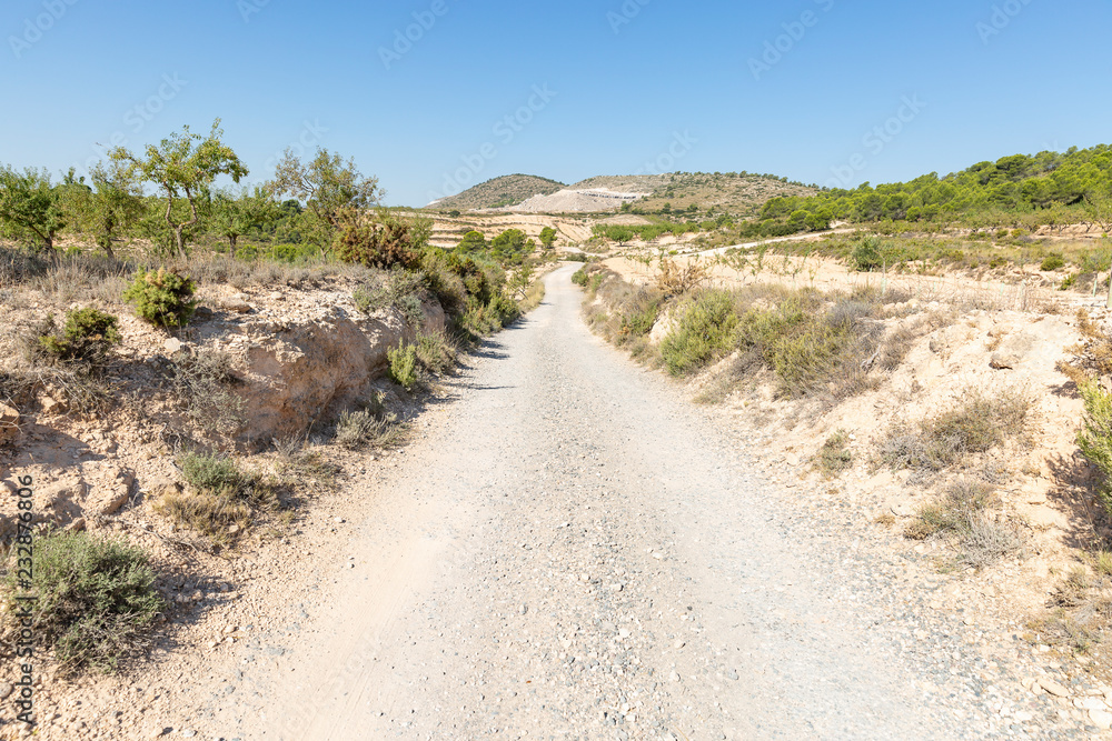 a rural path next to La Font de la Figuera (Fuente la Higuera) town, province of Valencia, Spain