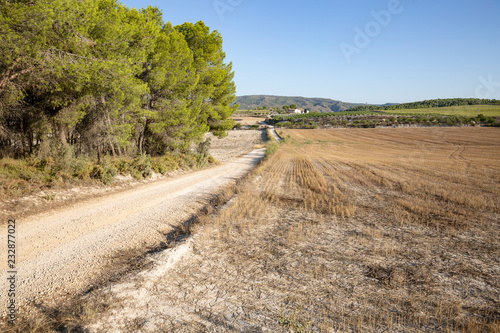 a rural path next to Moixent (Mogente) town, province of Valencia, Spain photo