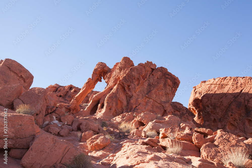 Rock formation known as Elephant Rock in The Valley of Fire State Park in Nevada
