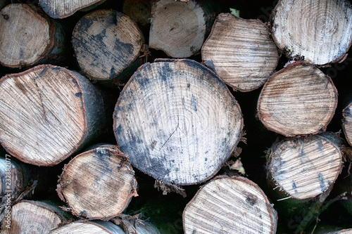 pile of logs