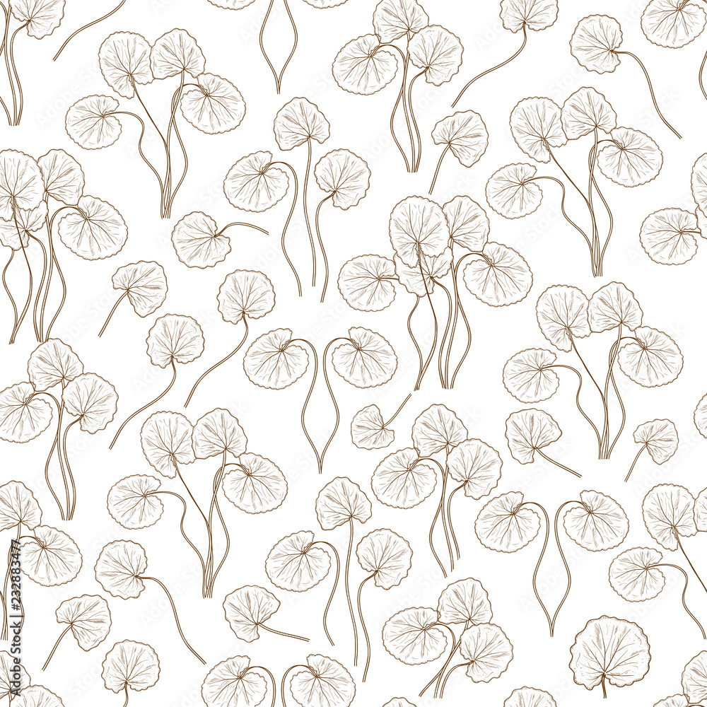 Gotu kola. Leaves, stem. Background, wallpaper, seamless. Sketch. Monochrome. Can be used for fabric, postcards.