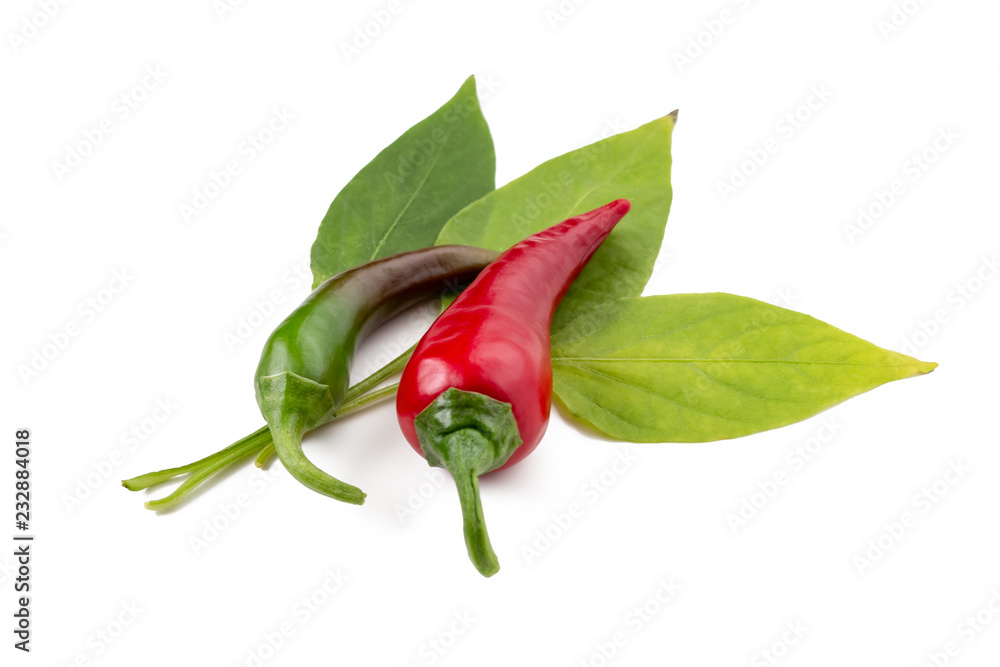 Fototapeta premium Chili peppers on leaves