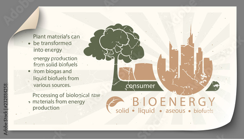 Renewable energy from bioenergy paper infographics