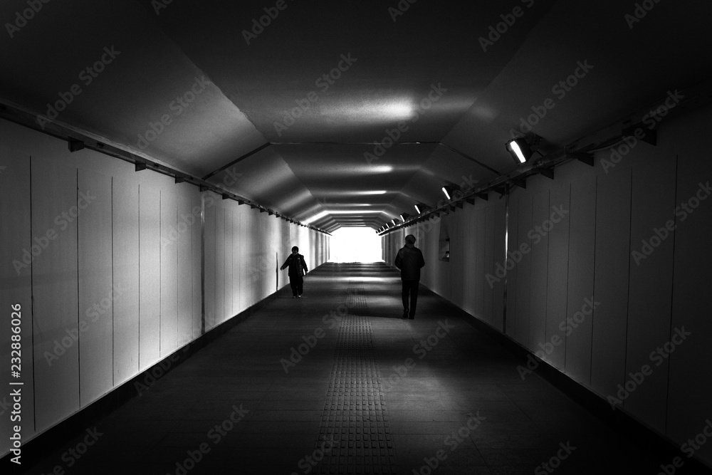 the tunnel
