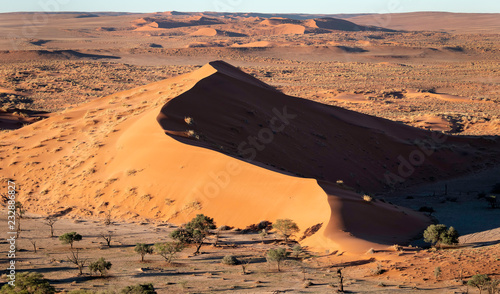 Fototapeta Naklejka Na Ścianę i Meble -  Aerial view of Dune 45, a well known sand dune located in the Sossusvlei area of the Namib Desert in the Namib-Naukluft National Park, Namibia