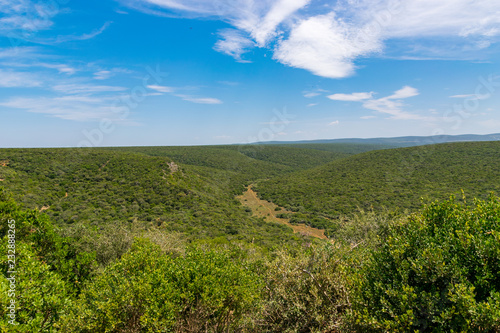 Far green South Africa