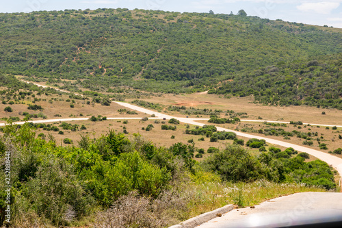 Crossing streets in the Addo Elephant Park