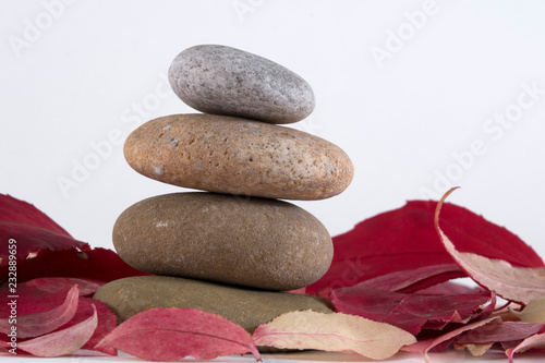 Mindful leaves and stones