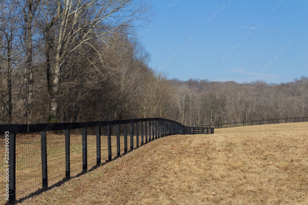 Perspective view of black fencing by a mowed field, winter, horizontal aspect