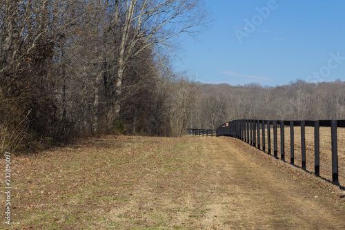 Perspective view of black fencing by a treeline, winter, horizontal aspect