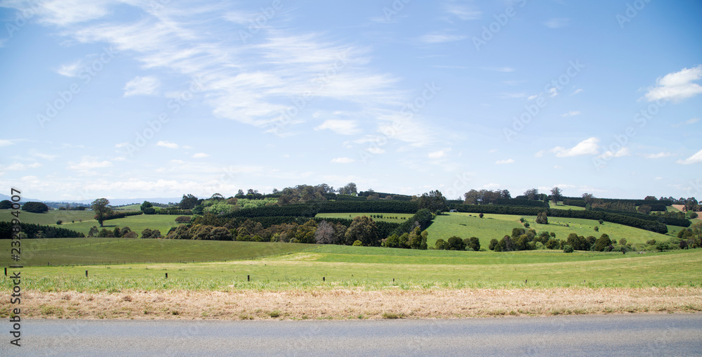 Obraz premium Background of countyside environment