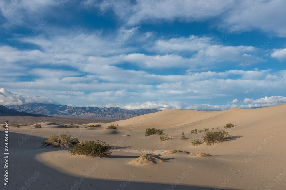 Wind sculpted sand to form the intriguing Mesquite Sand Dunes, Death Valley National Park, California Wind sculpted sand to form the intriguing Mesquite Sand Dunes, Death Valley National Park, California