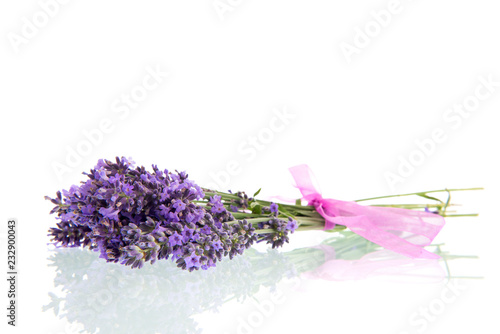 Fototapeta Naklejka Na Ścianę i Meble -  Bouquet Lavender on white background