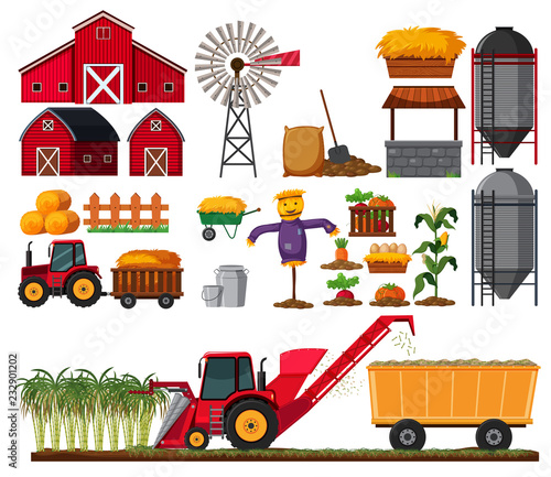 Set of sugar cane farm element