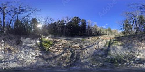  in the forest