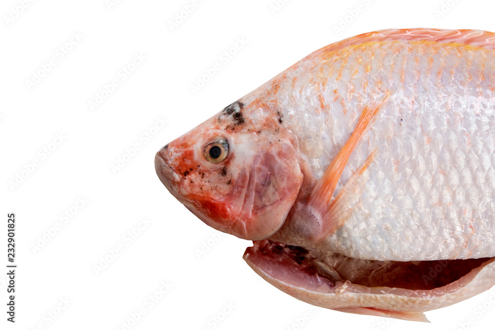 Raw Red Tilapia Fish prepared ready for Cook