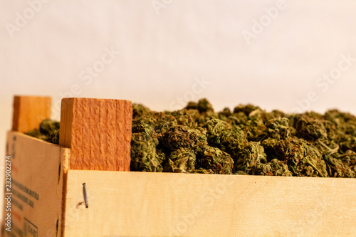 Obraz na płótnie The corner of a wooden crate full of marijuana buds. The corner piece of wood making the top of the crate is visible with a large mound of marijuana buds next to it. w salonie