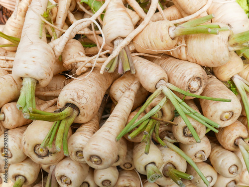 close up of a bunch of parsnips at the farmers market