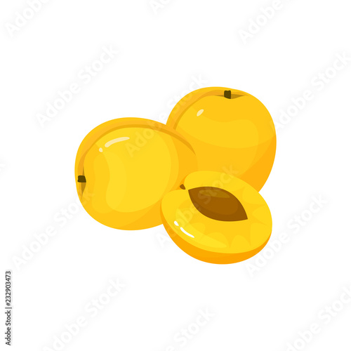 Cartoon fresh apricot isolated icon on white