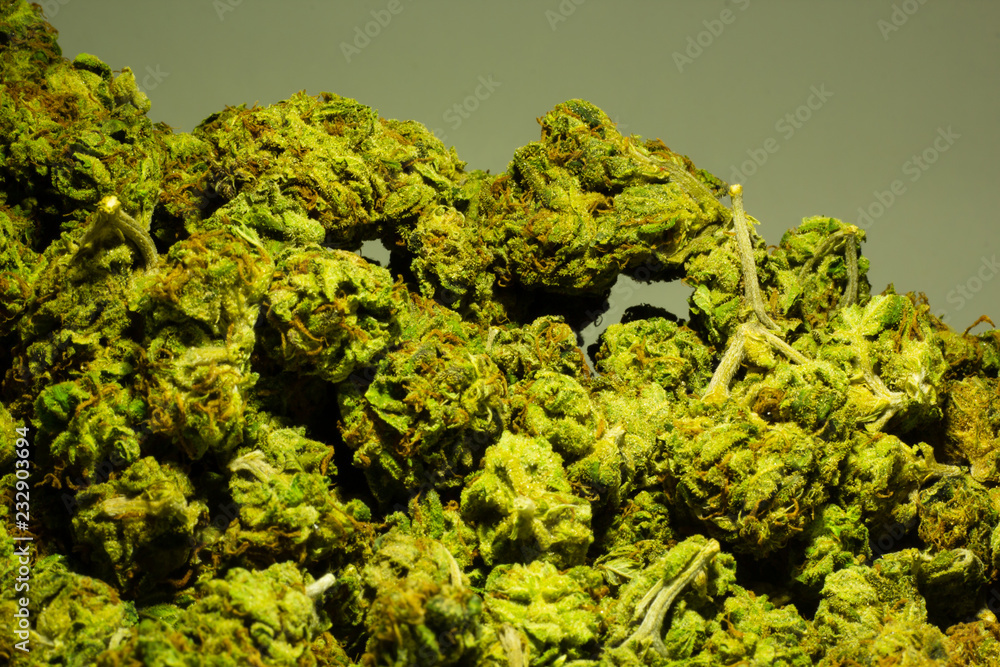 Close up of a large pile of marijuana buds showing vibrant greens and red hairs.